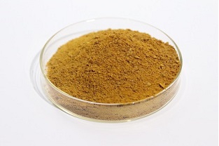 選擇聚合氯化鋁時主要看哪些指標？