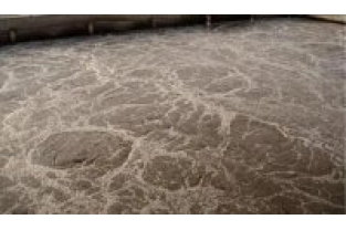 添加碳源的后續處理困難點